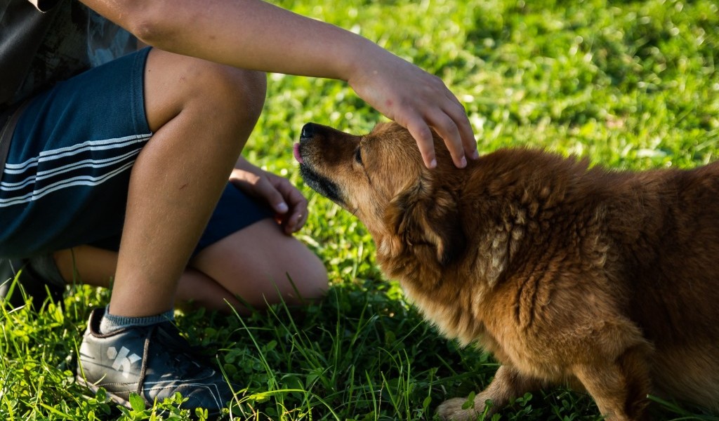 certificazioni prodotti cosmetici animali