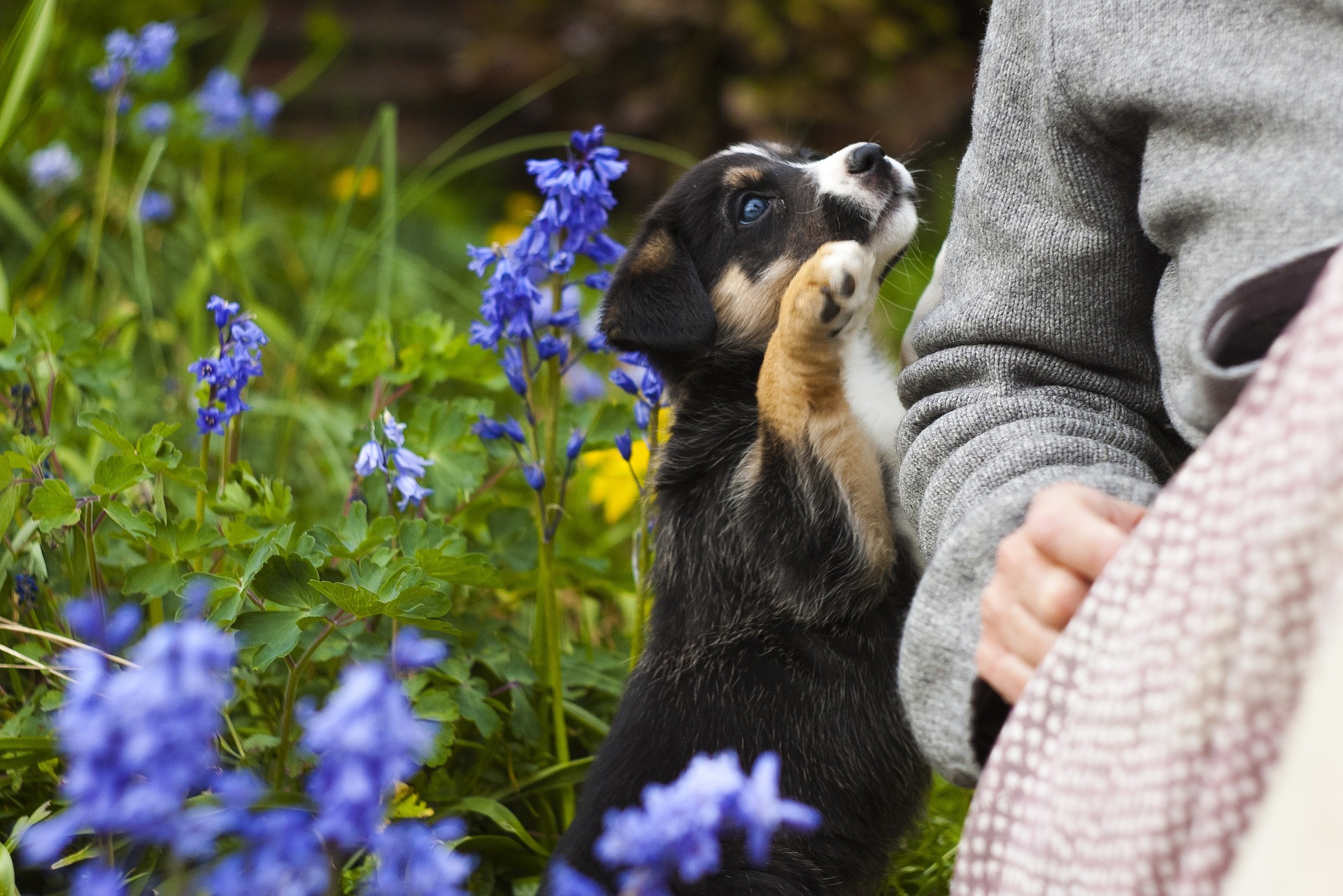 certificazioni-prodotti-cosmetici-animali-normative-14